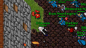 Dimson on screen