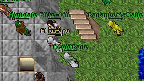 Elfo raro on screen
