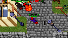 Kokola on screen