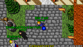 Bik Pall on screen
