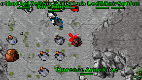 Kekaszi on screen