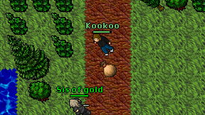 Kookoo on screen