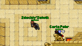 Zdechly'Zolwik on screen