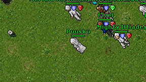 Puusku on screen