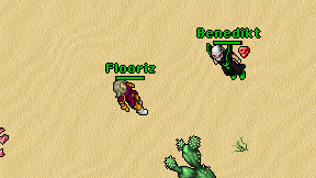 Flooriz on screen