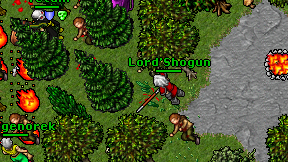 Lord'Shogun on screen
