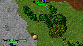 Fall Almo on screen