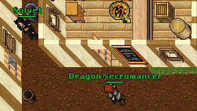 Dragon Necromancer on screen