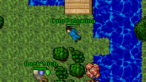 Caio Palomina on screen