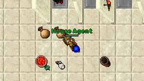 House Agent on screen