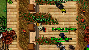 Shayroz on screen