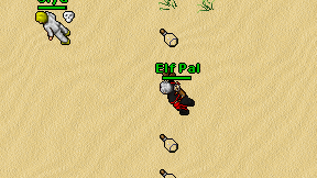 Elf Pal on screen