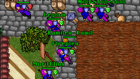 Kamilex-Kamil on screen