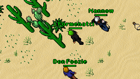 Formenatci on screen