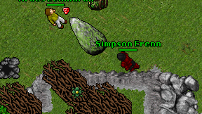 Simpson Erenn on screen
