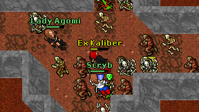 Ex Kaliber on screen