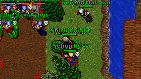 Shizu'Knight on screen