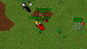 Kami kazze on screen