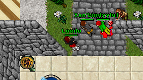 Loxilo on screen