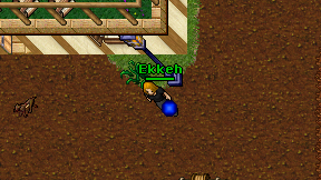 Ekkeh on screen