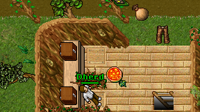 Dherd on screen