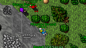 Mystyc Druid on screen