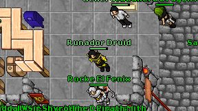 Runador Druid on screen