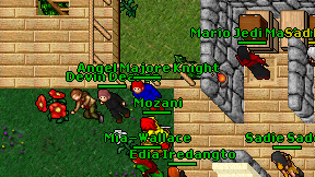 Angel Majore Knight on screen