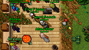 Lord Sasch on screen
