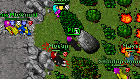 Picq on screen