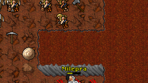 Milepra on screen