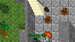Chader hel on screen