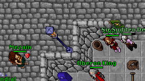 Exerli on screen