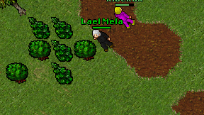 Lael Mela on screen