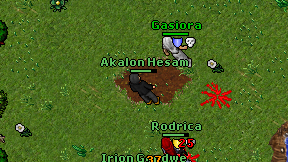 Akalon Hesam on screen