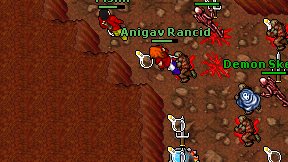 Anigav Rancid on screen