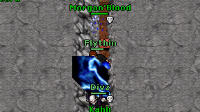 Flythin on screen