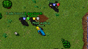 Muradka on screen