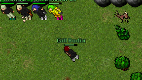 Gill Budix on screen