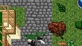 Hipenok on screen