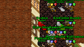 Veden on screen