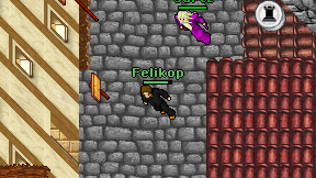 Felikop on screen