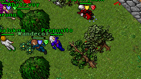 Prepusito on screen