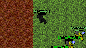 Solomex on screen