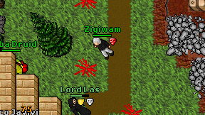 Zigiwam on screen