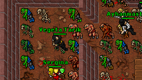 Vegeta Tarik on screen