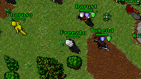 Freezto on screen