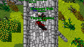 Thyn Lealius on screen