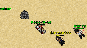 Win'Ys on screen