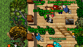 Elf Magic Archer on screen